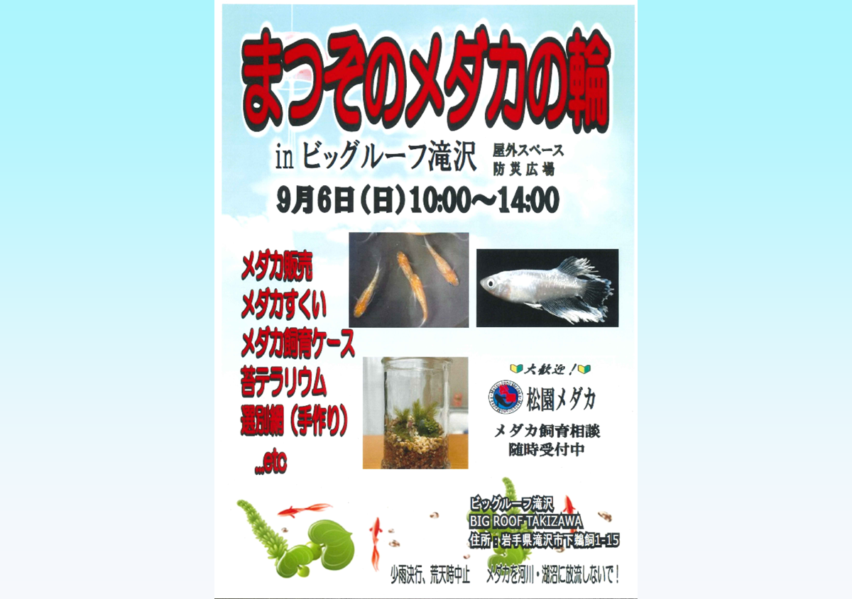 まつぞのメダカの輪