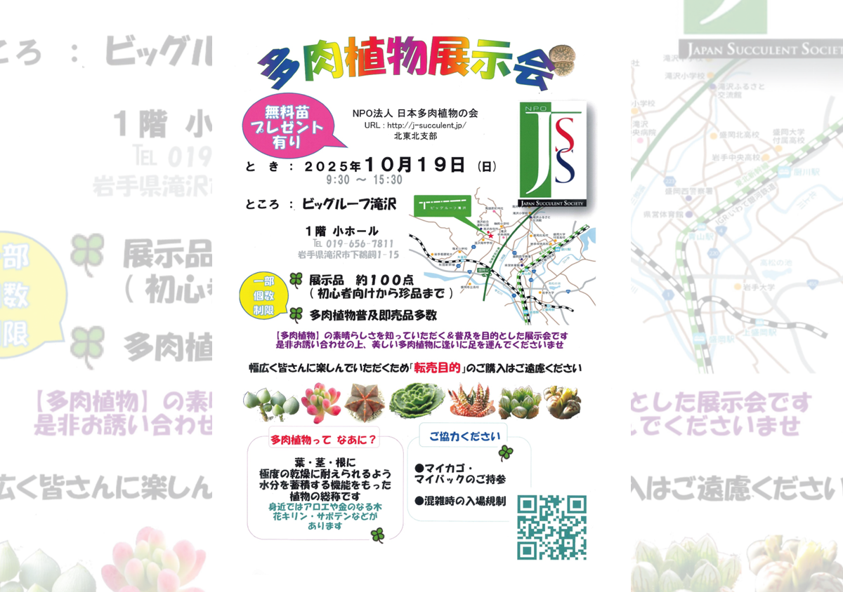 多肉植物展示会