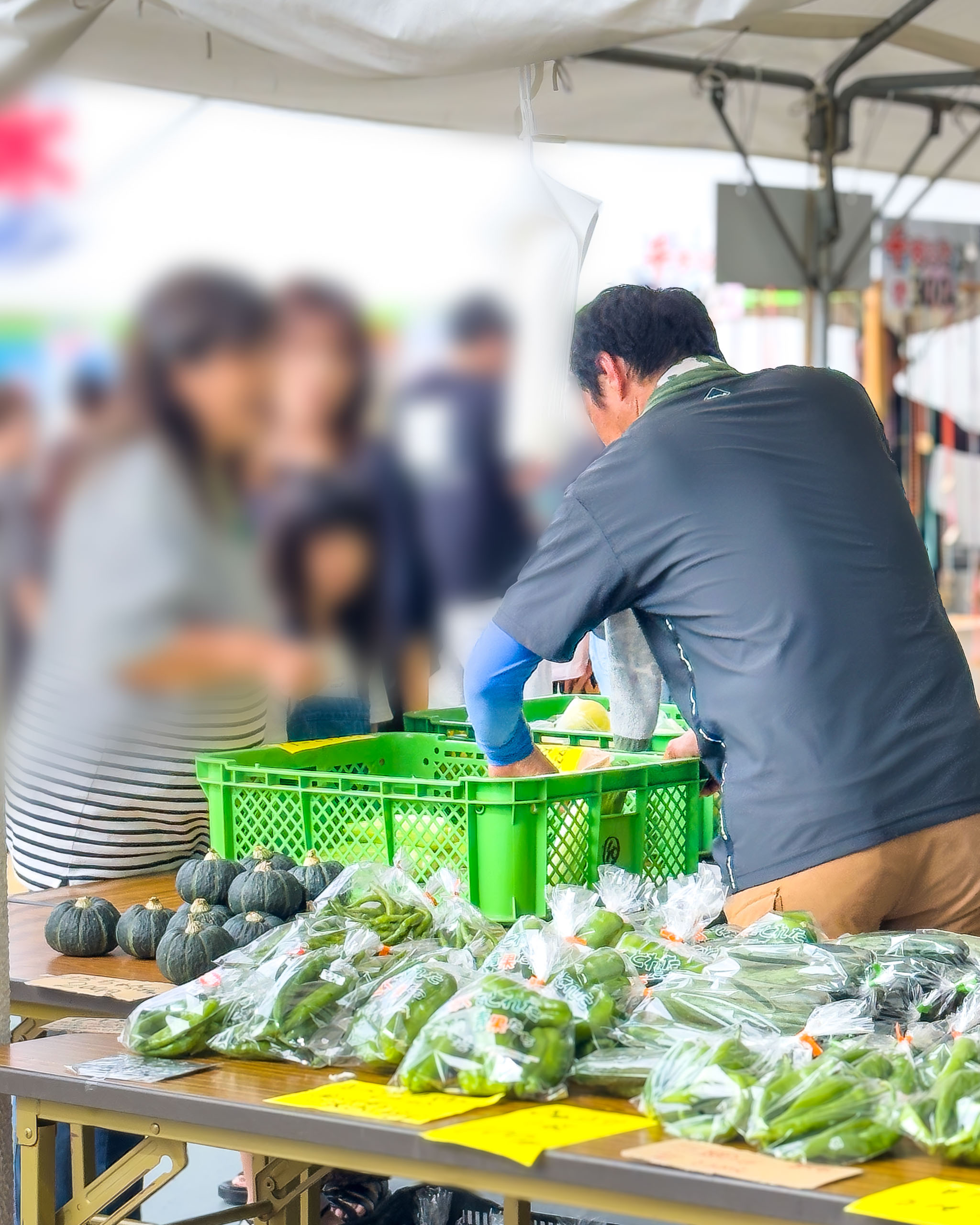 かぼちゃや夏野菜が並ぶ販売コーナー