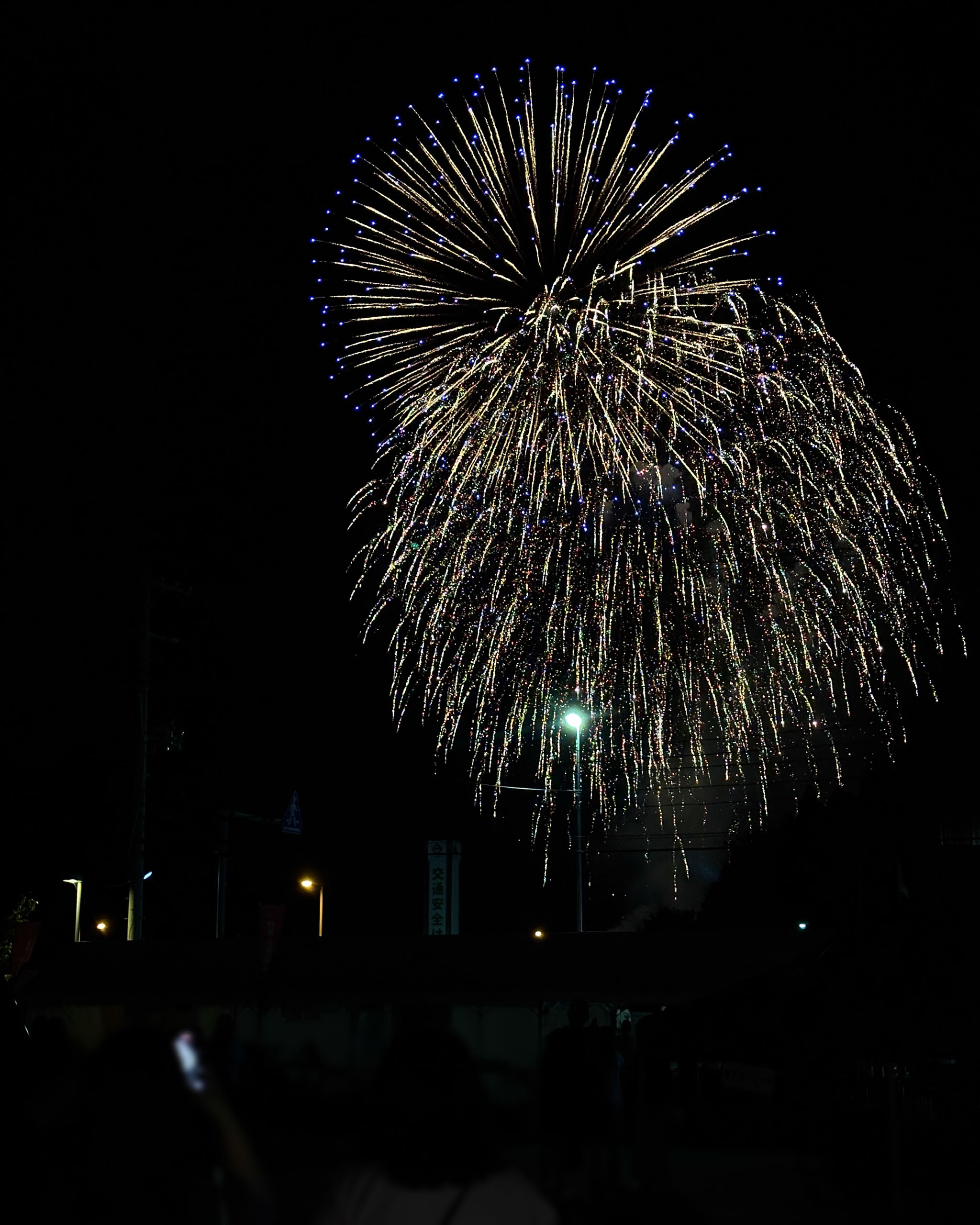 夜空いっぱいに開いた大輪の花火